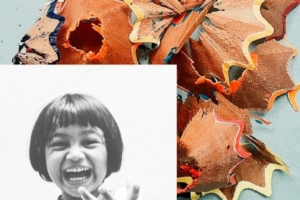 50CAN 2017 Campaign Goals